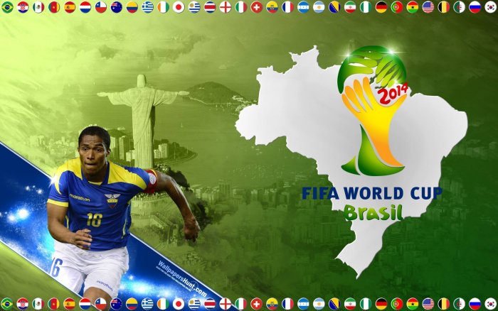 2014 FIFA World Cup Brazil - Group E - Honduras : Ecuador