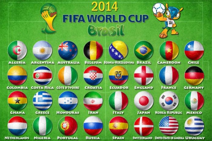 2014 FIFA World Cup Brazil - Group A - Croatia : Mexico