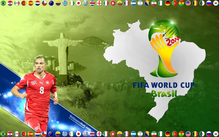 2014 FIFA World Cup Brazil - Group E - Honduras : Switzerland