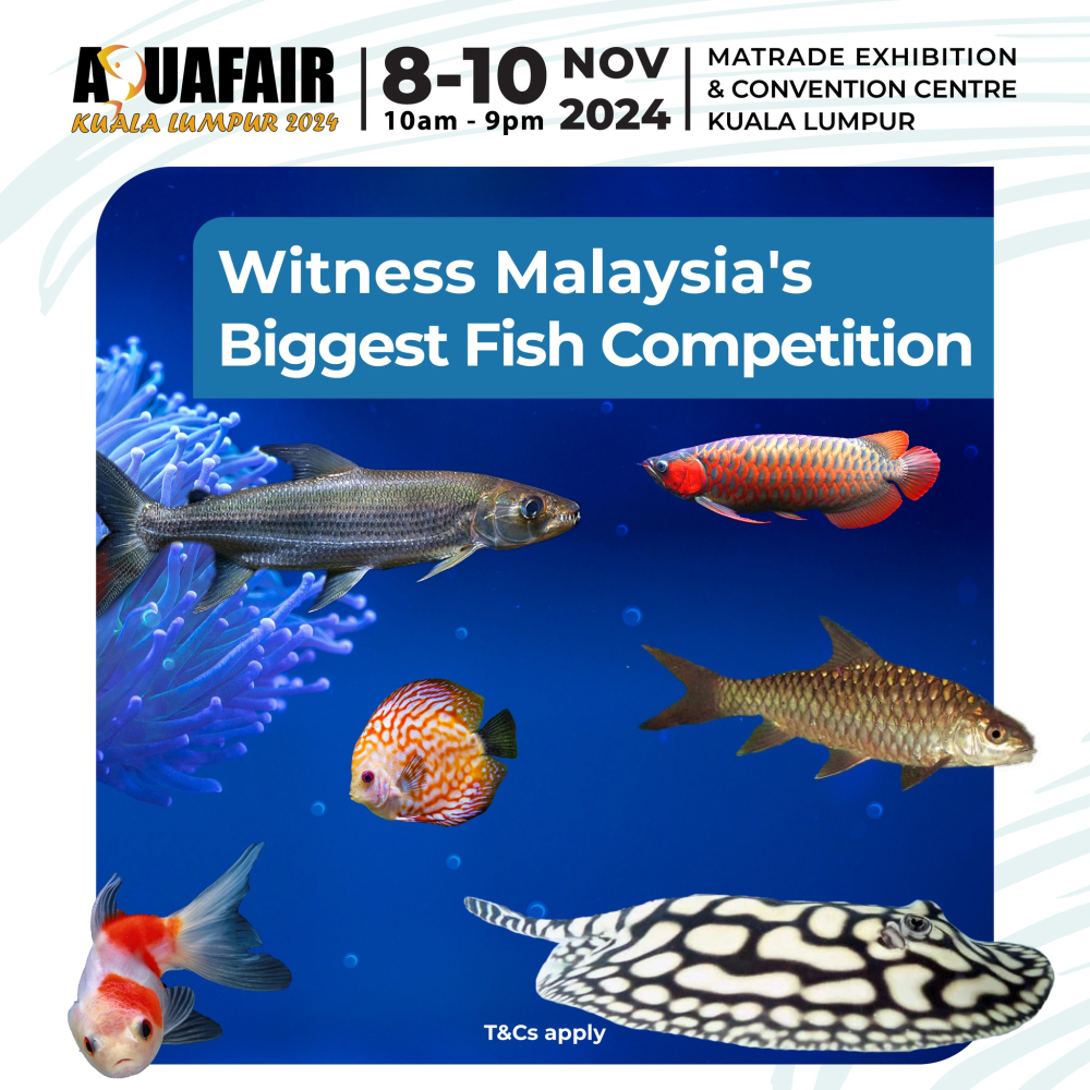 Aquafair Kuala Lumpur 2024